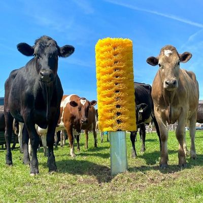 Pincel para vacas Peças para criação de gado Peças para arranhar vacas