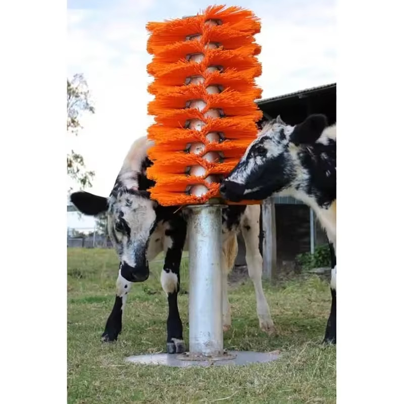 435 ou 510 mm escova de vaca Pp Nylon para arranhar e cuidar de vacas